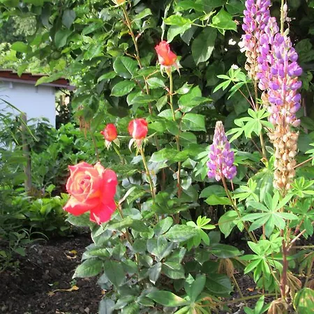 Haus Orchideental Ена