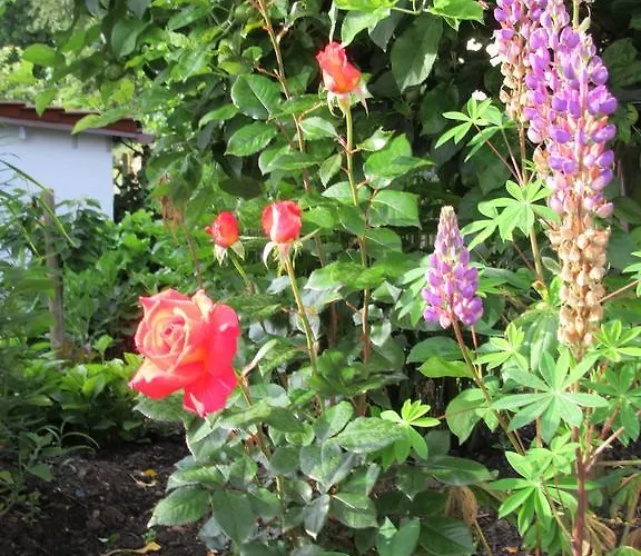 Haus Orchideental Jena